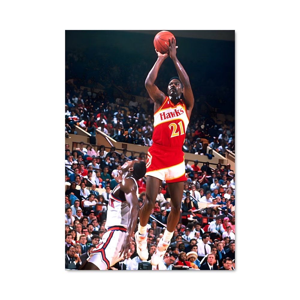 Poster Vol de Dominique – affiche Basketball